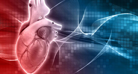 Heart Condition, Vascular Intervention