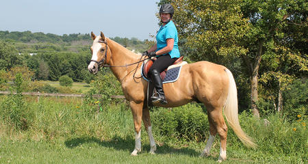 Woman on horse - Knee Replacement Patient Story