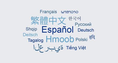 Word cloud of languages offered by Froedtert & the Medical College of Wisconsin