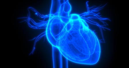 cardiac amyloidosis heart