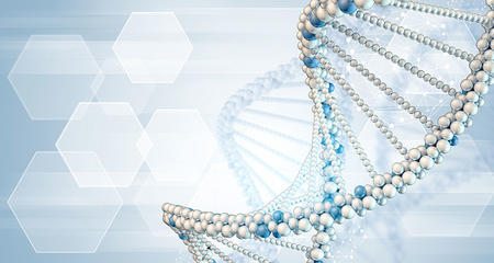 Hereditary Cancer and High Risk Cancer Clinic DNA