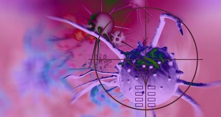 Targeting Cancer Cells Precision Medicine