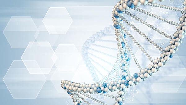 Hereditary Cancer and High Risk Cancer Clinic DNA