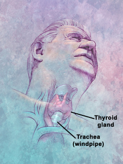 Thyroid Illustration