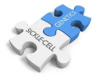 Sickle Cell Puzzle Piece image